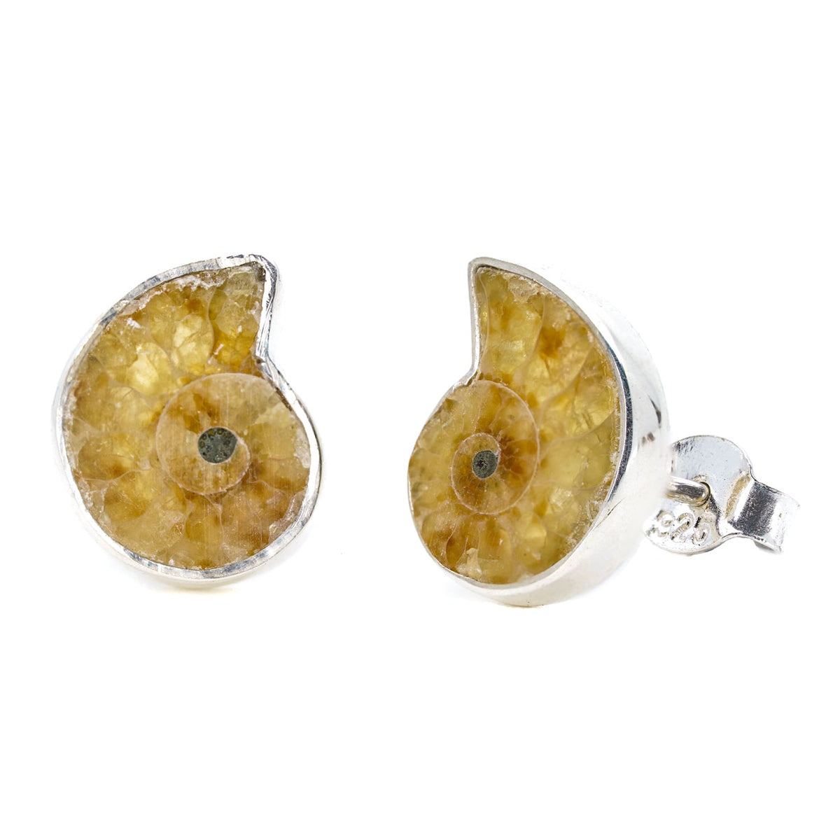 Ammonite Studs