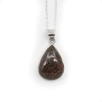 Thumbnail for Dino Bone Pendant