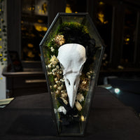 Thumbnail for Faux Raven Skull Moss Frame
