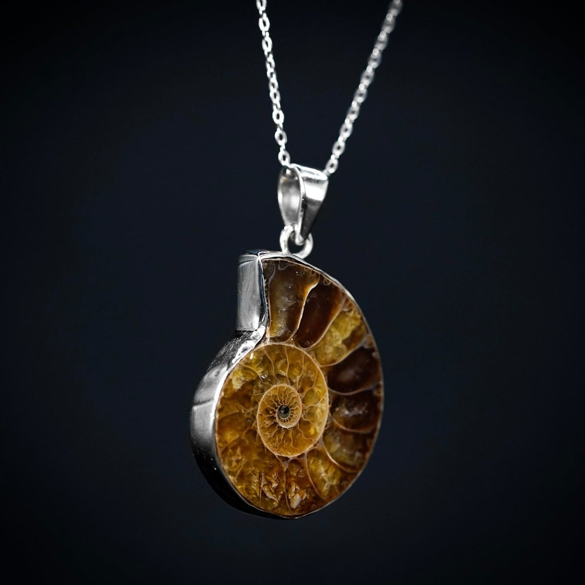 Ammonite Pendant