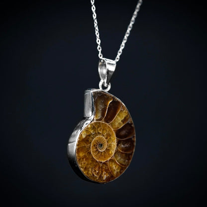 Ammonite Pendant