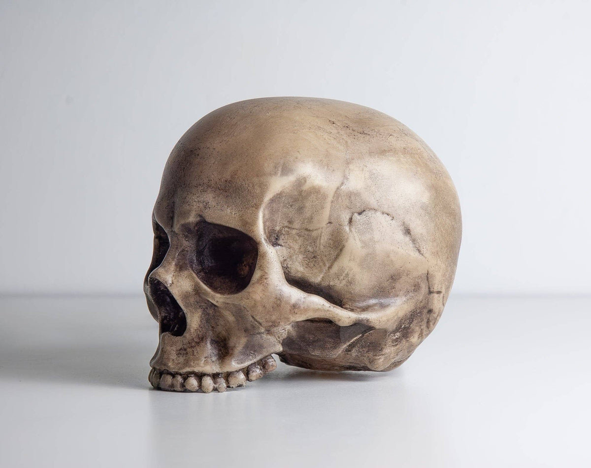 Skull Lamp