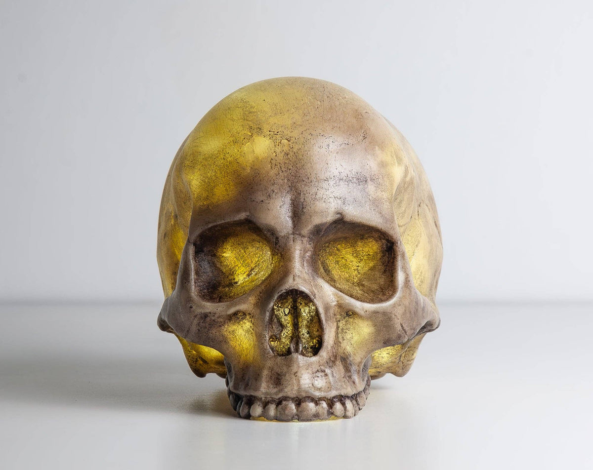 Skull Lamp