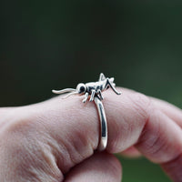 Thumbnail for Locust Ring