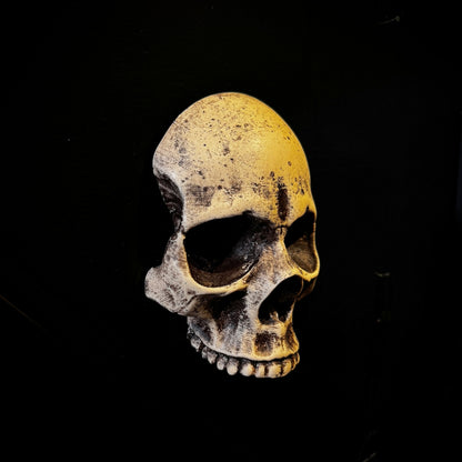 Wall Mounted Skull