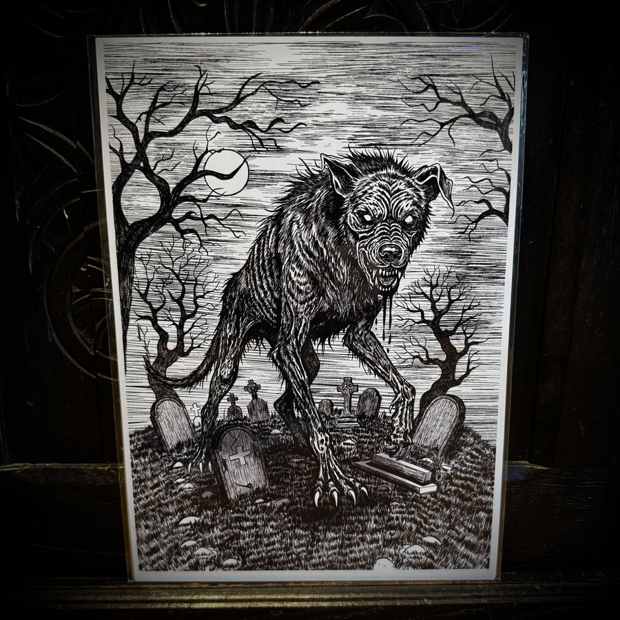 Barghest