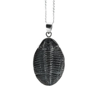 Thumbnail for Trilobite Pendant