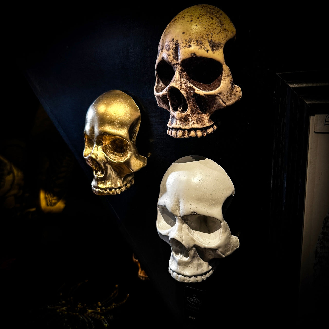 Wall Mounted Skull