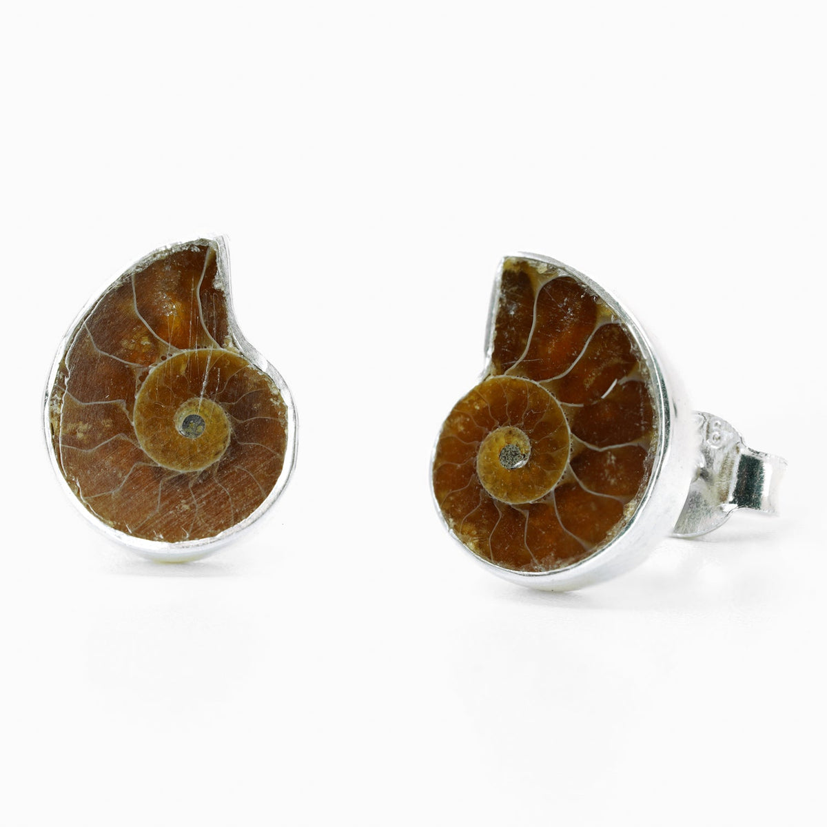 Ammonite Studs