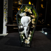 Thumbnail for Faux Raven Skull Moss Frame
