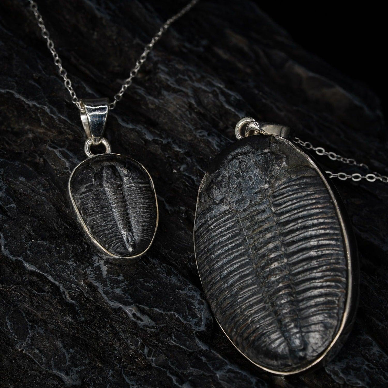 Trilobite Pendant
