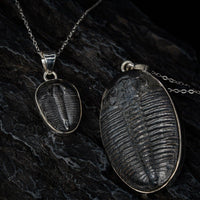 Thumbnail for Trilobite Pendant