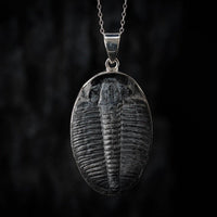 Thumbnail for Trilobite Pendant