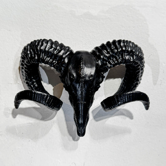Wall Mounted Ram Skull