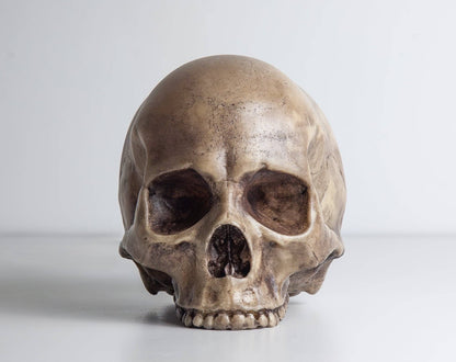 Skull Lamp